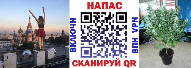 Шишки марихуана Ganja Малоархангельск